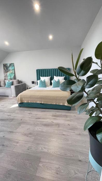 Номер студія для 4 осіб N7