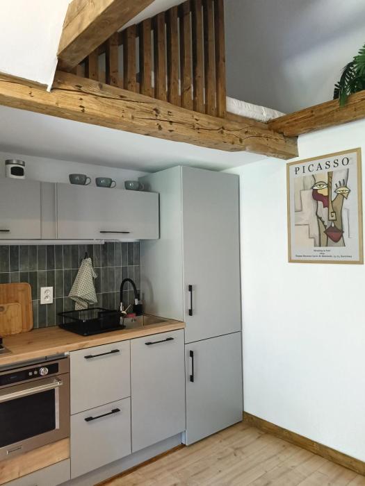 Studio z widokiem na park