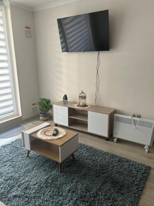 Depto en Pucón 2 piezas 2 baños