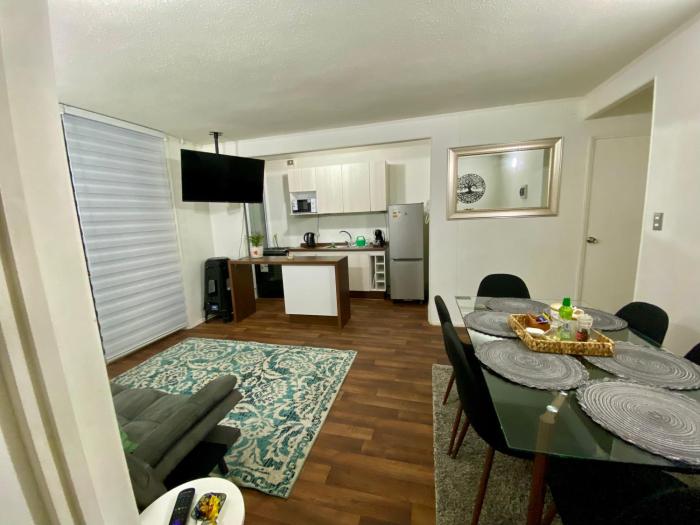 Departamento Mirador Volcán Villarrica, Pucón