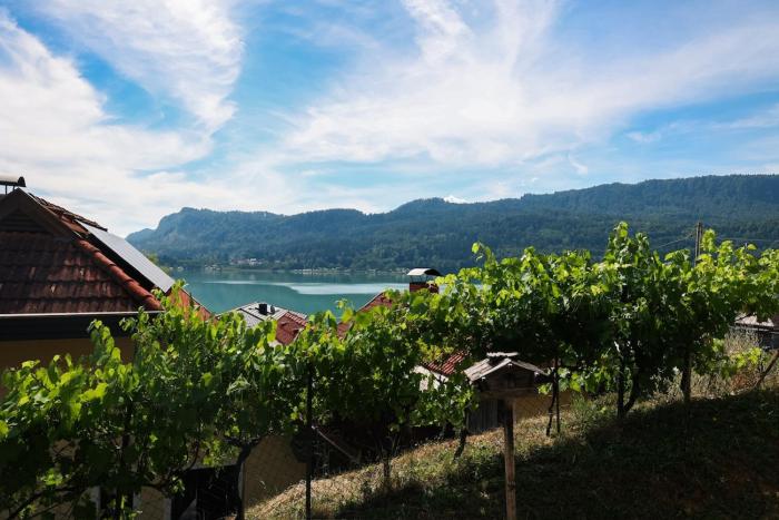 Guesthouse am See LOOM