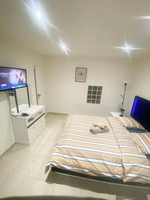 Appartement cosy à Arnouville - 34 m² avec vue jardin