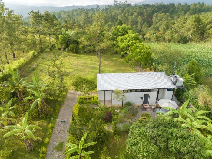 Stay with a hot tub on a coffee farm