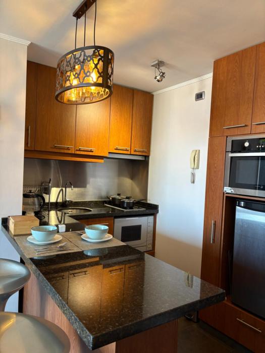 Depa en Providencia con terraza VIP