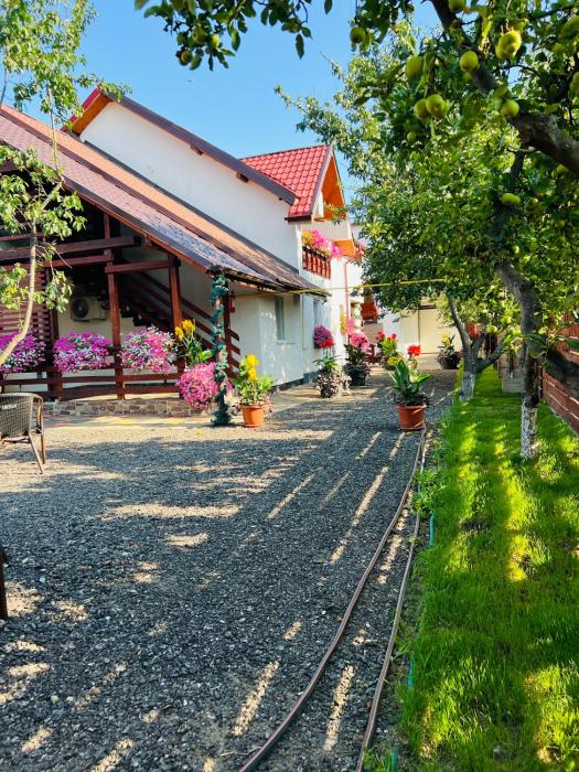 Cinema Villa Elena#2