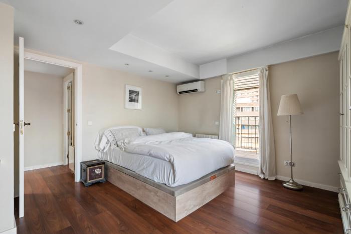 Large Penthouse duplex