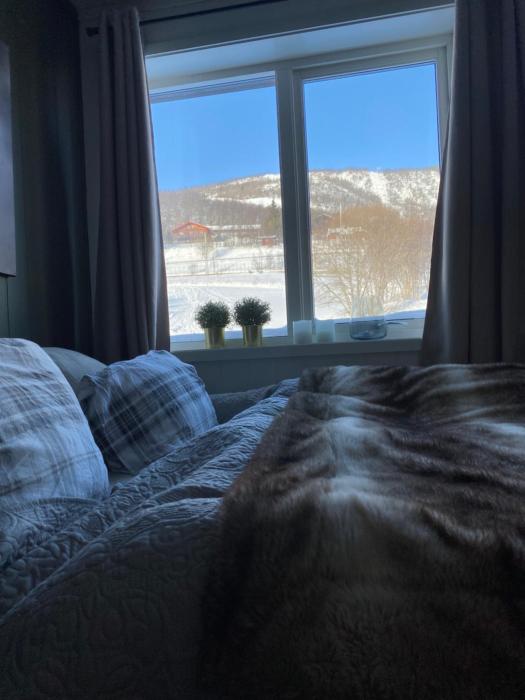 High standard appartment, Geilo