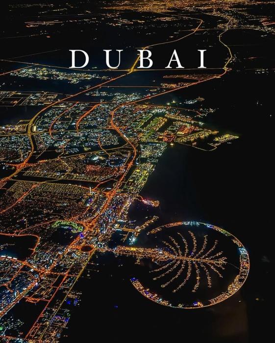 Beachfront Bliss Seven Palm