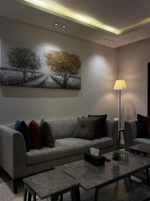 شقة أنيقة بتصميم مودرن غرفتين نوم وصالة Rr011