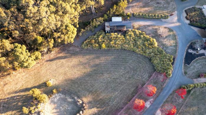 Little Maple near Daylesford