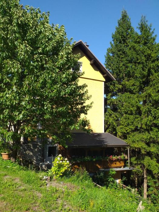 Ferienwohnung Rosenbach OG