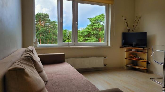 Artists apartment in Jurmala