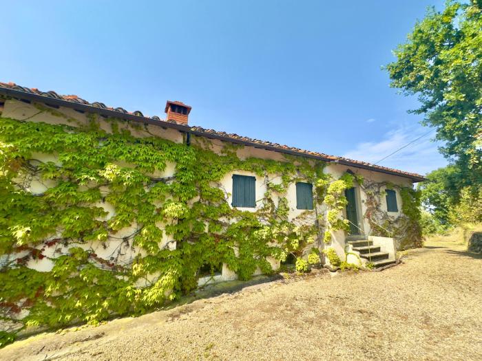 Podere Il Cellaino