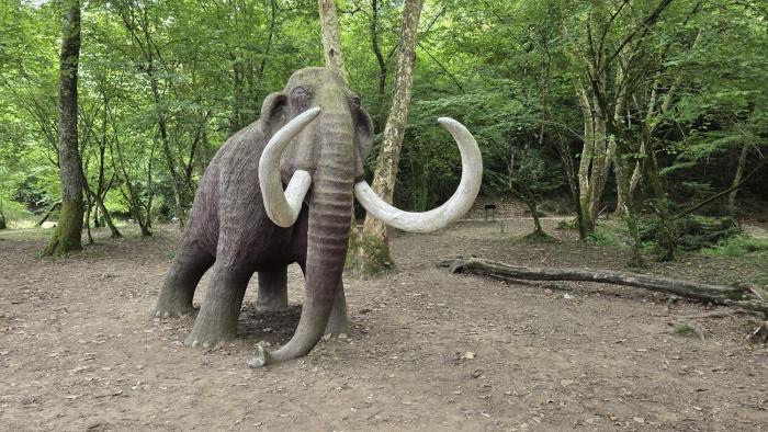 Los acebos. Mar, montaña, cuevas