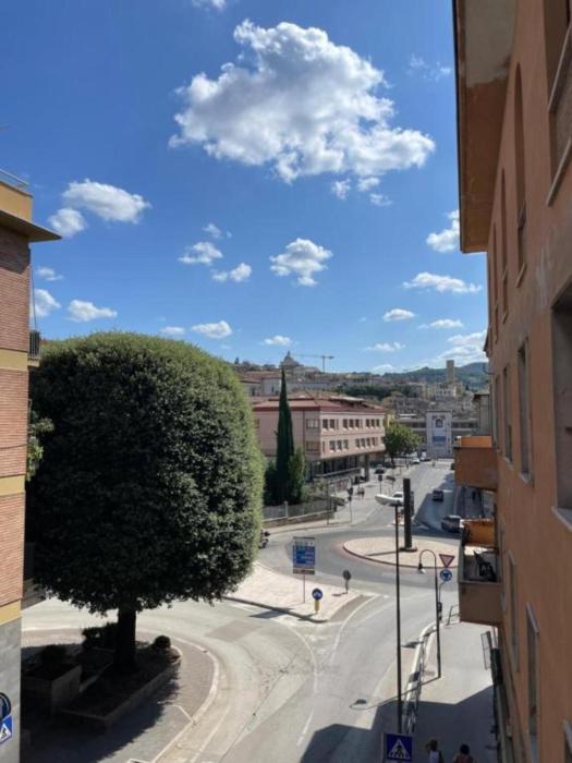 Appartamento Flaminia