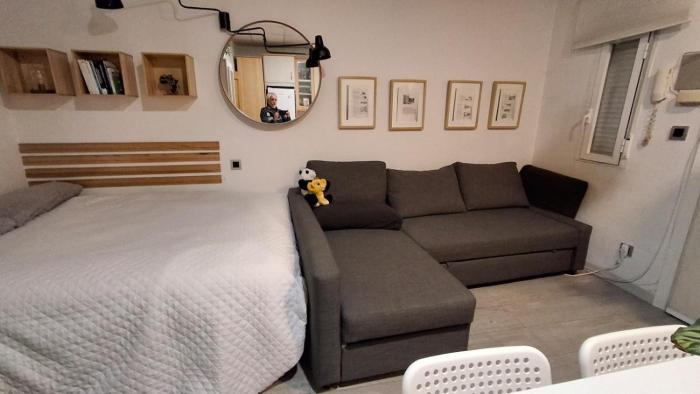 Charming Studio in La Latina