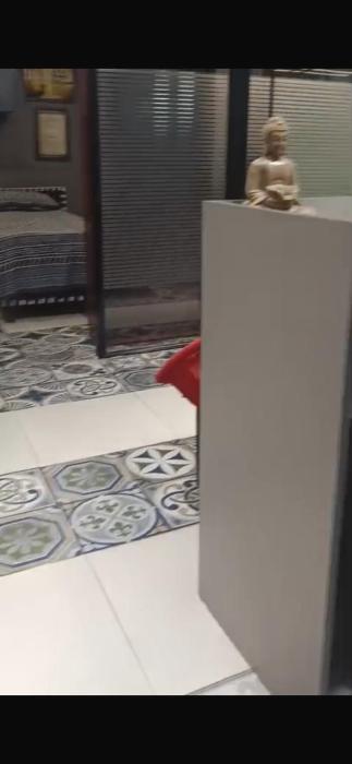 South Delhi Best Location Brand New Cabins Stay