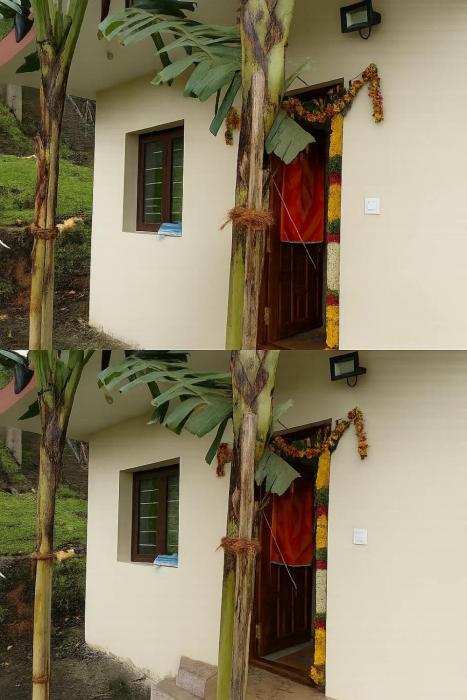 Dreamy Wonders House