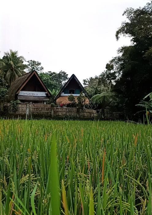 DBulan bungalows and kafe