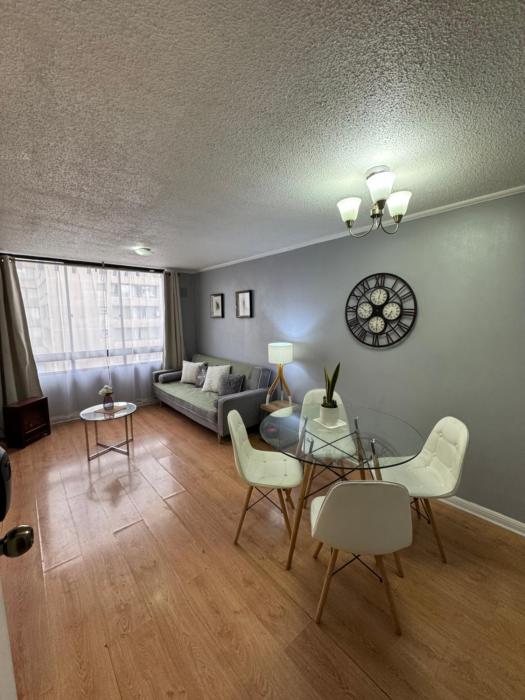 Departamento Santiago Centro Barrio Bellas Artes