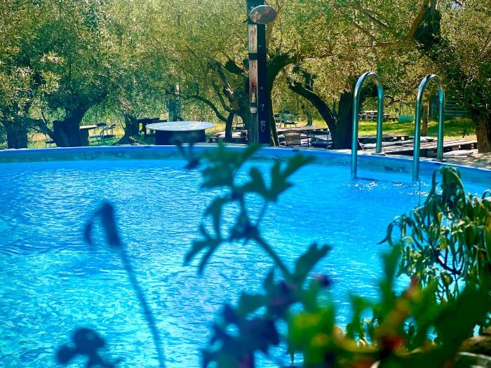 Borgo Medievale di Poggio Alla Pieve Relais, Food & Art