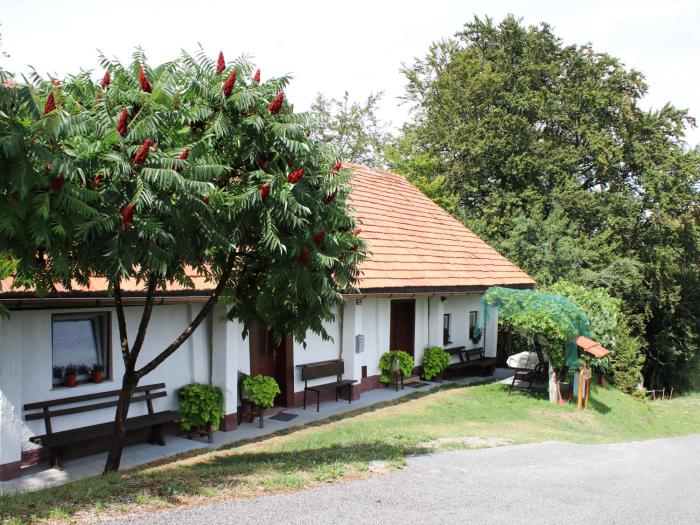 Vineyard cottage Ranč pri Hanzeku