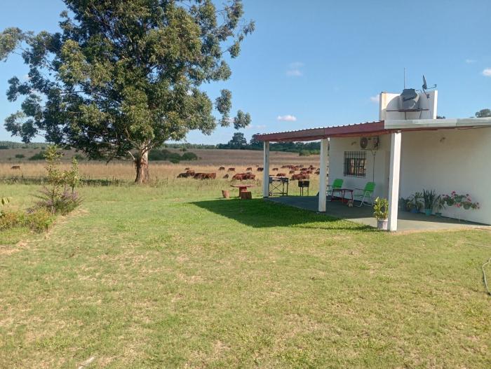 Lo Pituco casa de campo