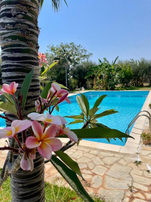 Villa VerdeMare - Esclusive Private Pool & Garden - 350 m from beach