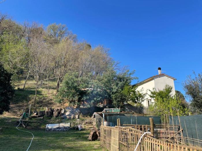 Serenità nella Natura