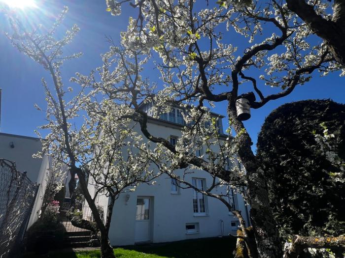 Gemütlich wohnen über Besigheim