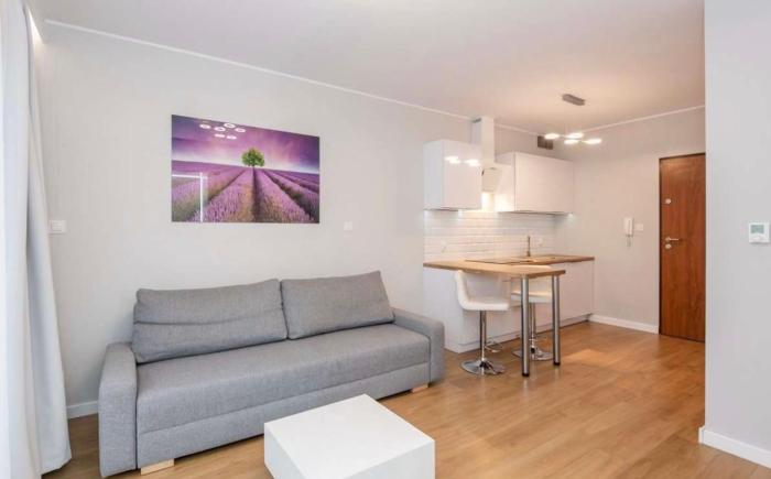 Super-Apartamenty Plewiska