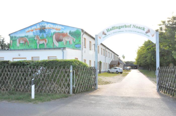 Haflingerhof Noack