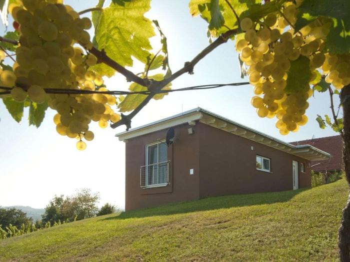 Holiday home in the vineyard Das Nussberg