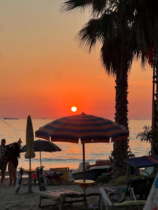 Muli 1 Bedroom Apartment