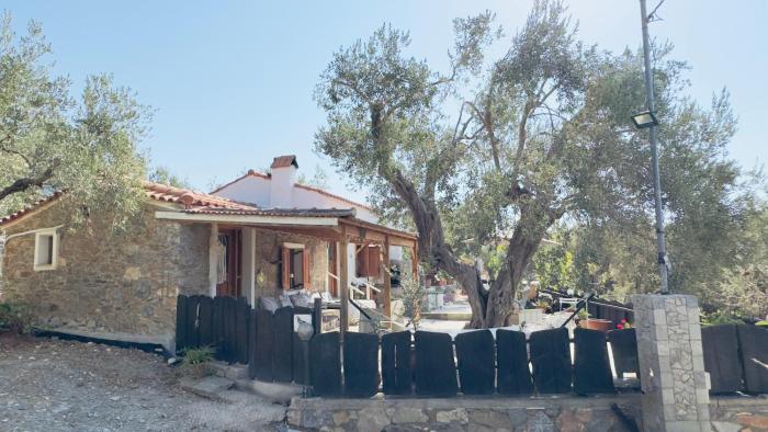 Lithos Estate Plomari