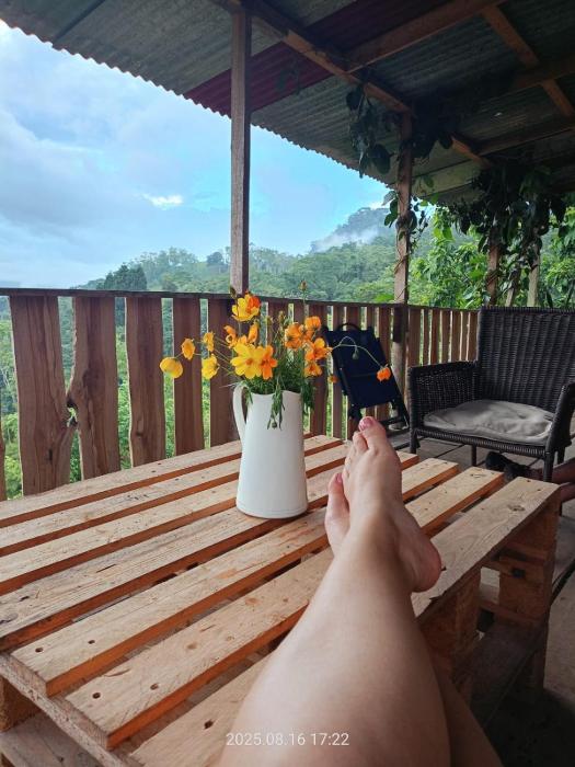 Home in the mountains