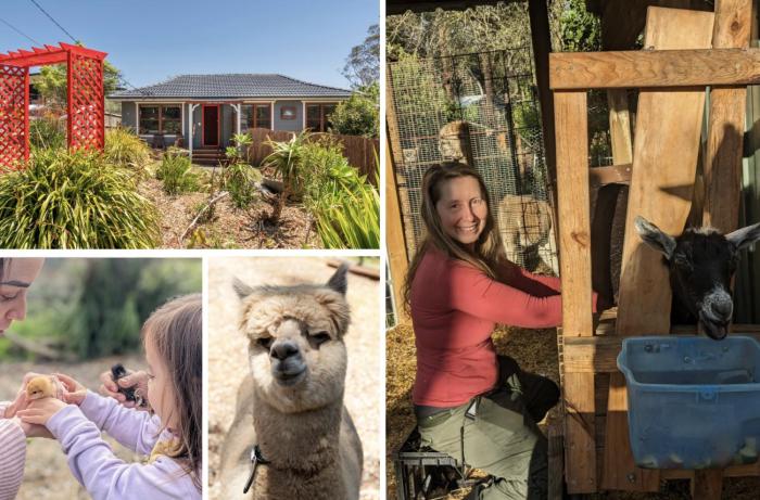 Blue Mountains Urban Farm Stay near Sydney