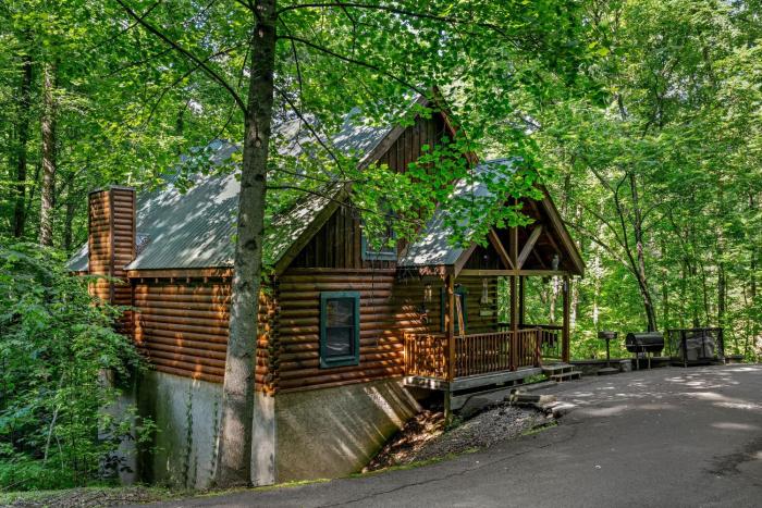Forest Fling Cabin