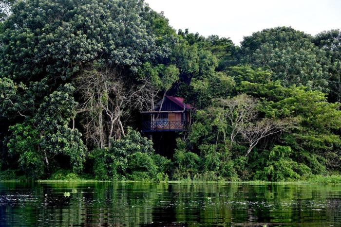 Eware Treehouse