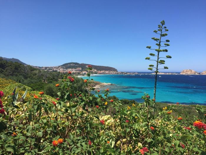 Bel appartement vue sur mer
