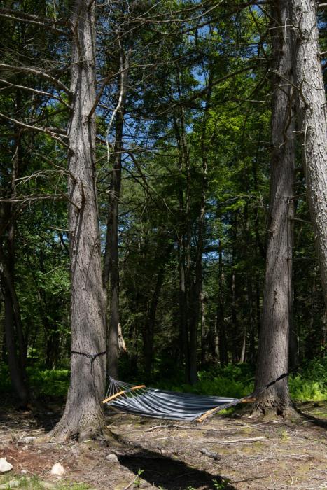 Narrowsburg Modern Chalet with Pond Fire Pit