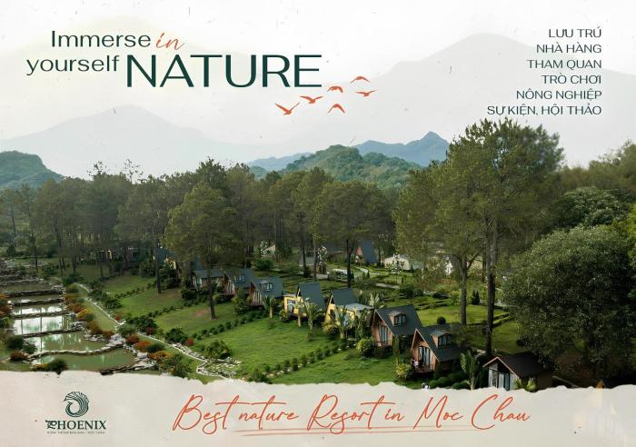 Phoenix Mộc Châu Resort
