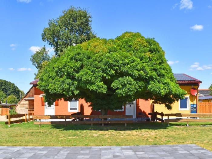 Ferienwohnung am Oase am Vilzsee
