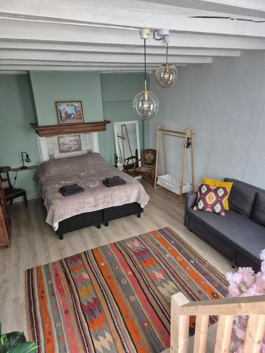 Cozy two-room city center apartment with garden