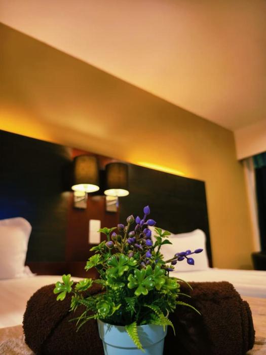 KK City Centre SCSP 2Pax Homey Suites 亚庇市中心民宿