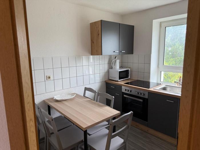 Monteurzimmer und Ferienwohnung bei Leuna, Halle, Leipzig