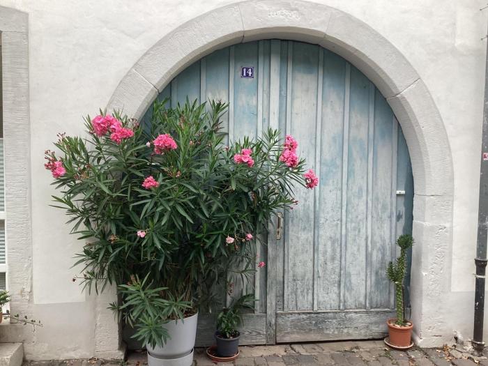 Ferienhäuschen am Heumarkt