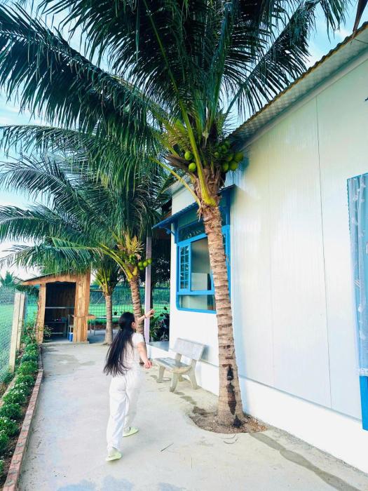 Homestay Về Nhà Chơi