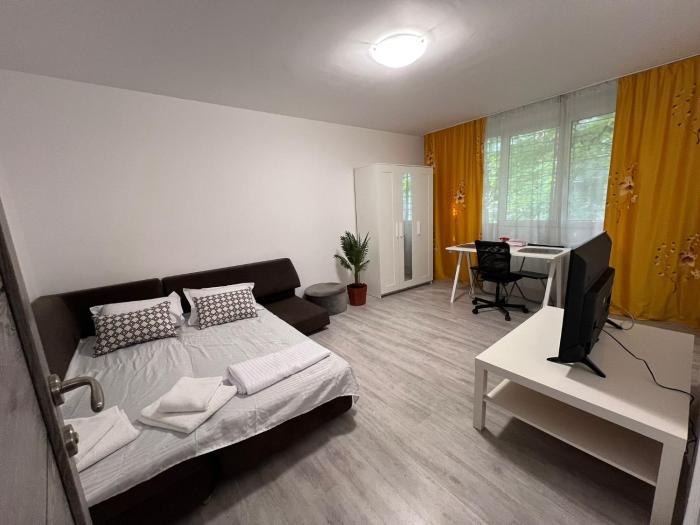 Garsoniera langa Spital Bagdasar,Obregia și Institutul pentru ordine publica NU OFER FACTURA