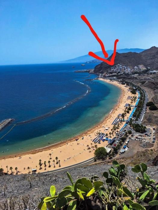 Perro y Osito Coliving - San Andrés